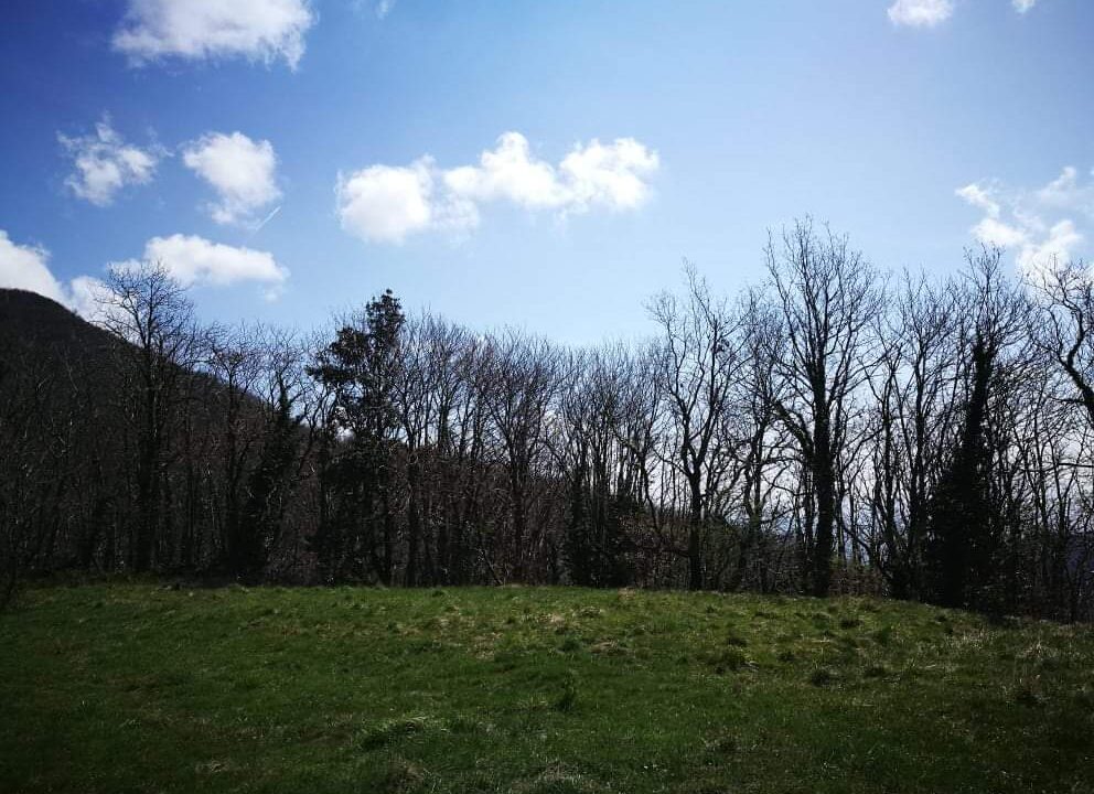 IMG-20230508-WA0013