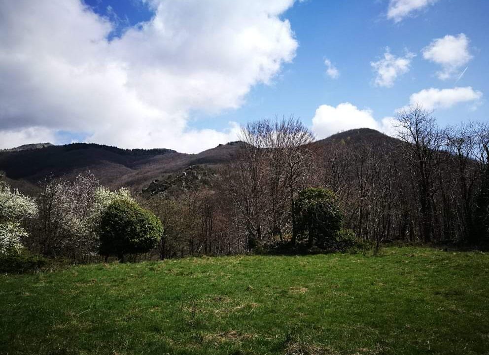 IMG-20230508-WA0015