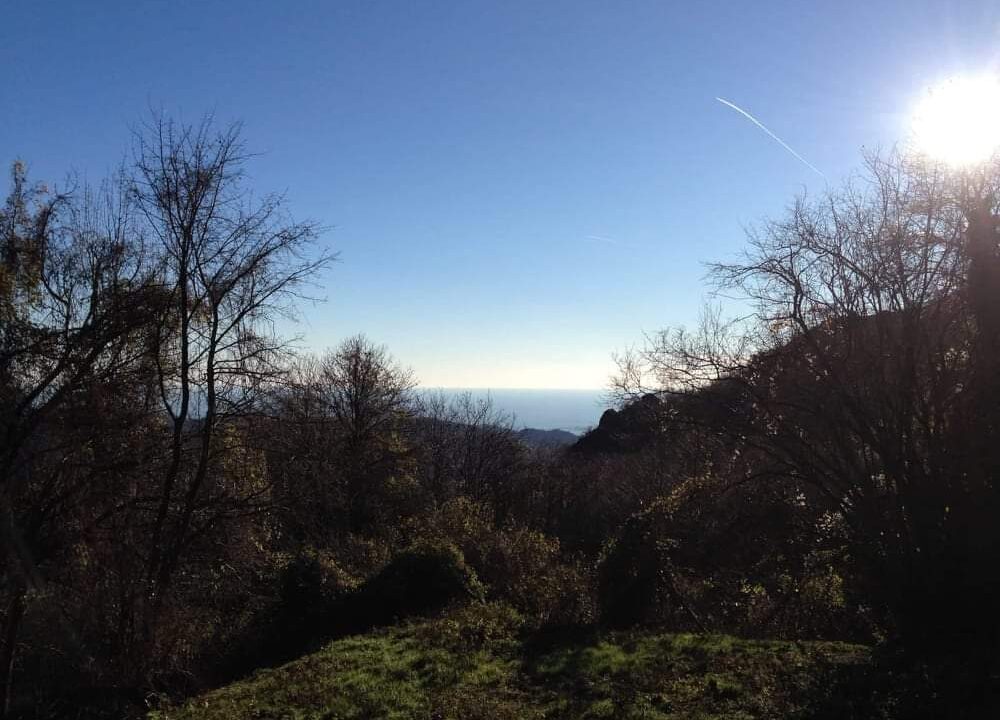 IMG-20230508-WA0019